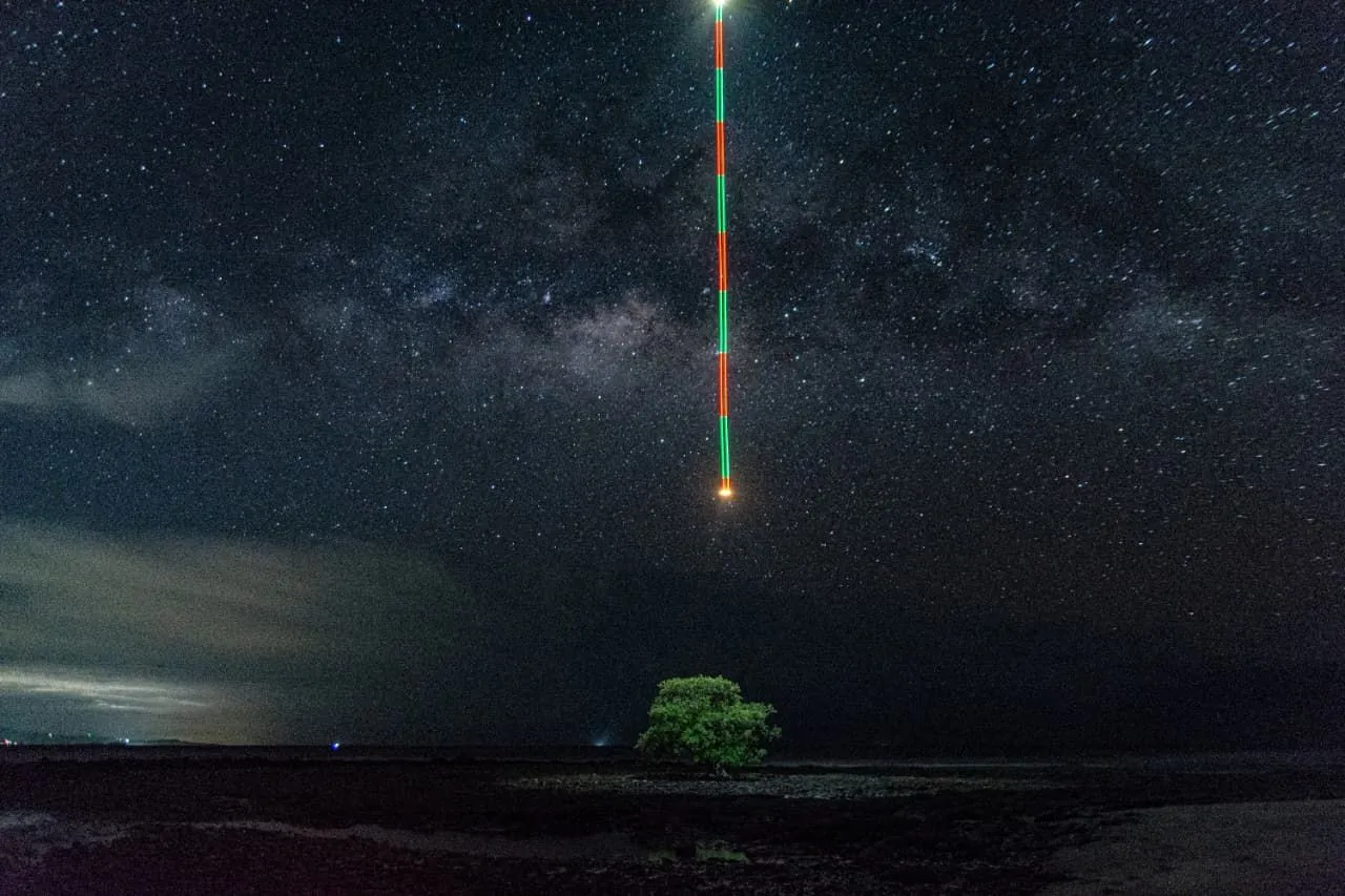 ÁRBOL DE LA VIDA