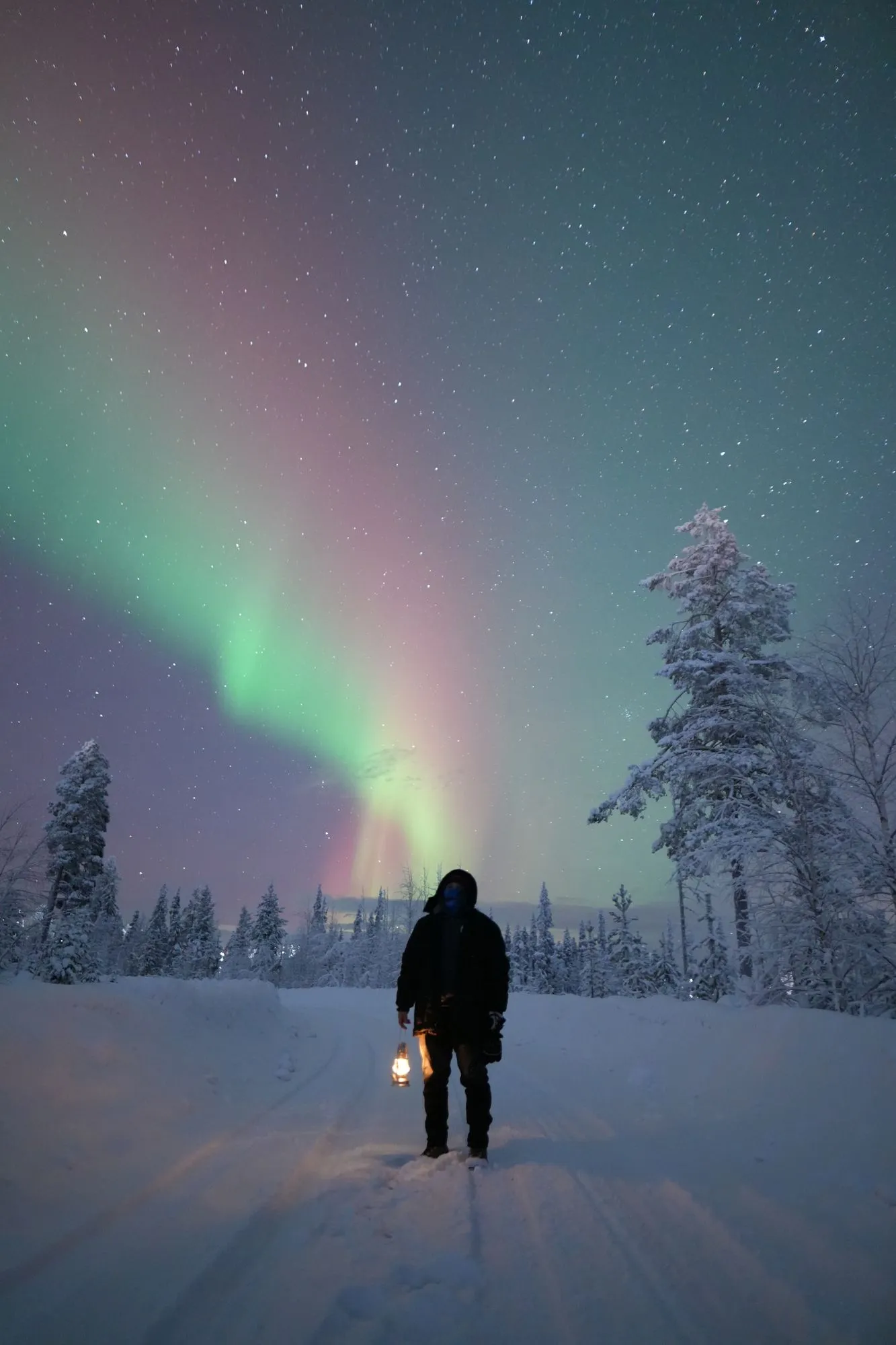 FINLANDIA - EL TECHO DEL MUNDO